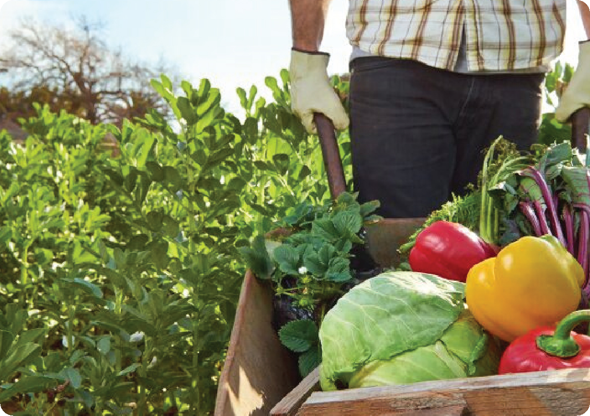Natural Farming Workshop
