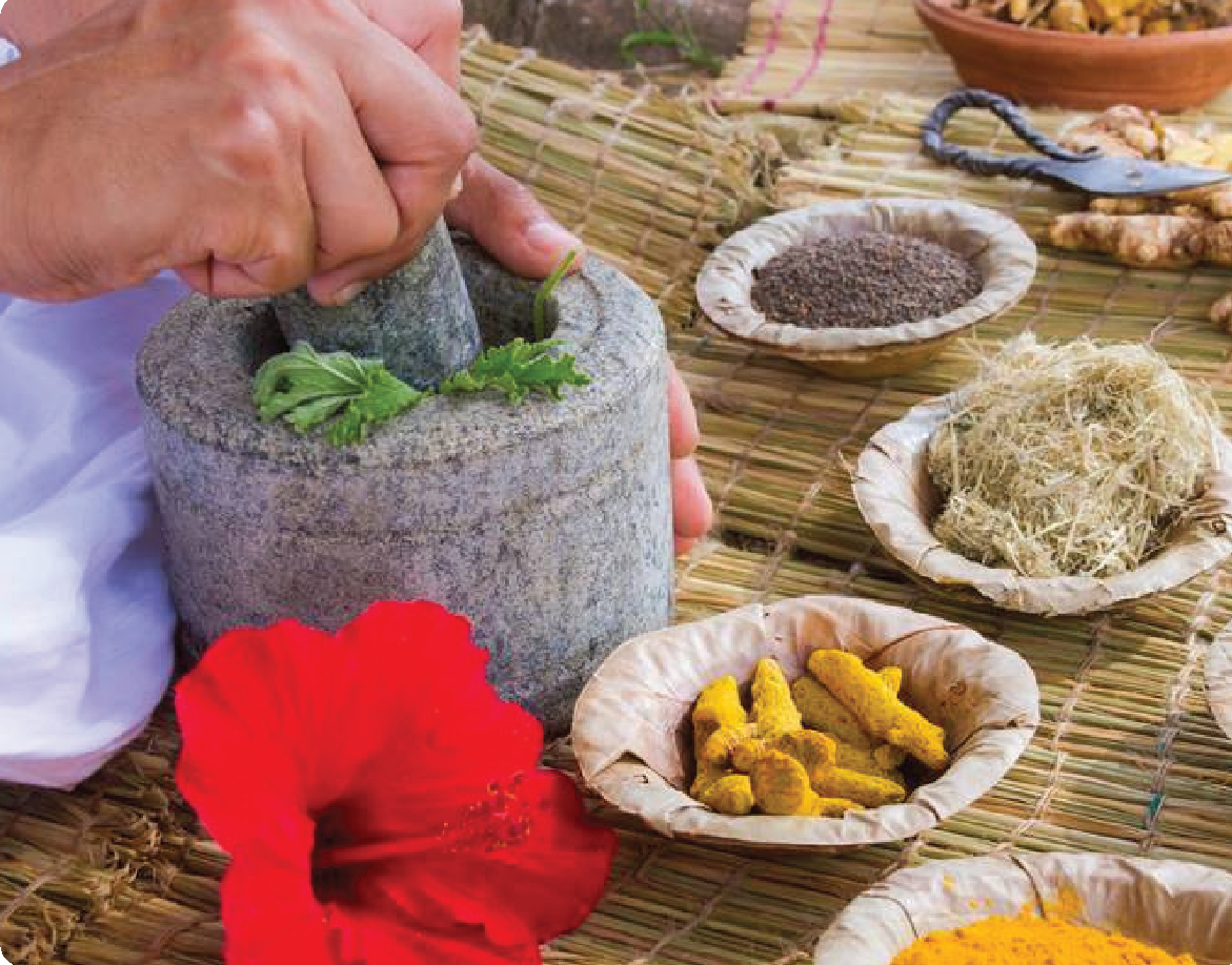 Ancient Indian Medicine